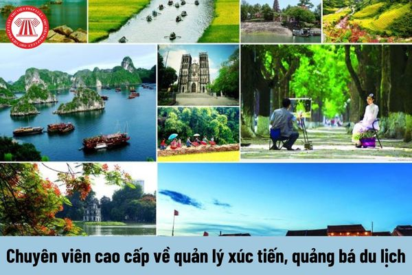 Hotspot Matrix và Nữ diễn viên Đẹp hơn thiên đường: Visual sang chảnh, style đời thường