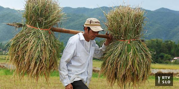Cách Khởi Nghiệp Kiếm Tiền Bán Thời Gian Dành Cho Người Mới_chỉnh sửa chỉnh sửa video trên điện thoại